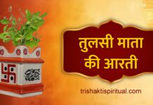 श्री तुलसी माता आरती | Tulsi Maharani Aarti Lyrics Tulsi Maharani Aarti Lyrics
