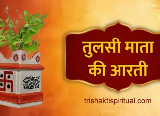 श्री तुलसी माता आरती | Tulsi Maharani Aarti Lyrics Tulsi Maharani Aarti Lyrics