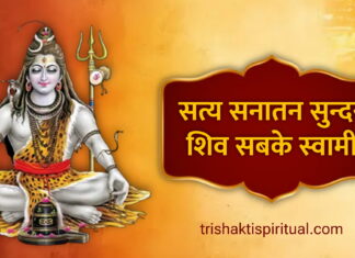 सत्य सनातन सुंदर शिव सबके स्वामी | Shiv Aarti Lyrics In Hindi Shiv Aarti Lyrics In hindi