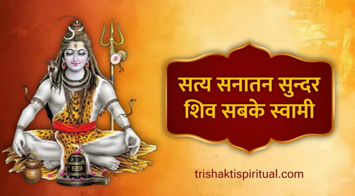 सत्य सनातन सुंदर शिव सबके स्वामी | Shiv Aarti Lyrics In Hindi Shiv Aarti Lyrics In hindi